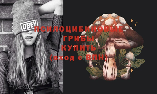 mdpv Алзамай