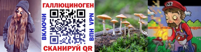 Псилоцибиновые грибы Cubensis  блэк спрут как зайти  Павловская 